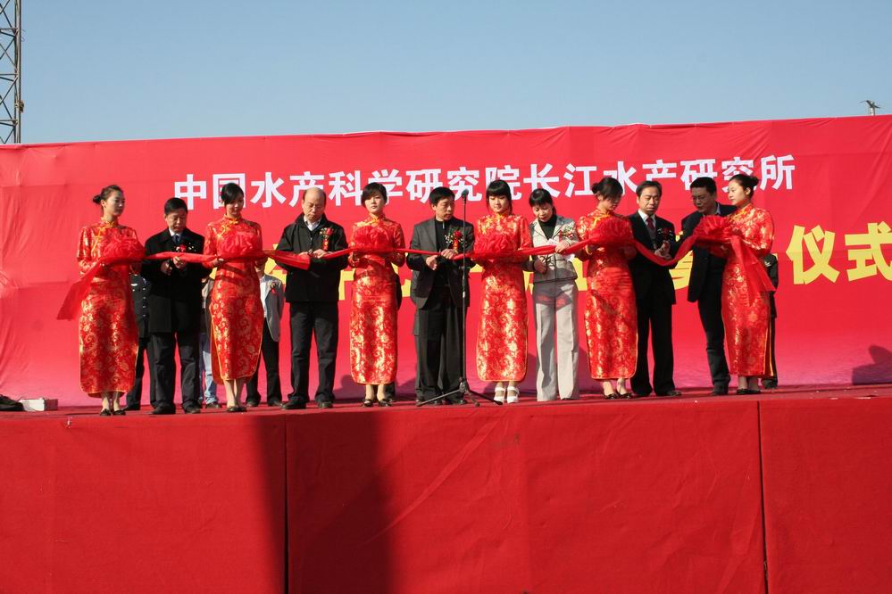 點擊放大