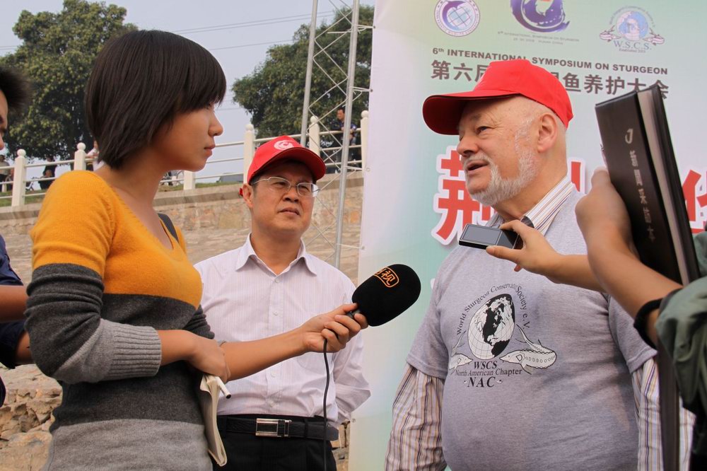 點擊放大