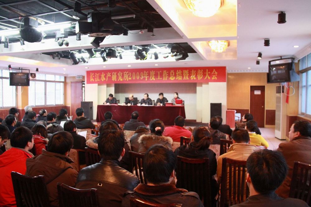 點(diǎn)擊放大