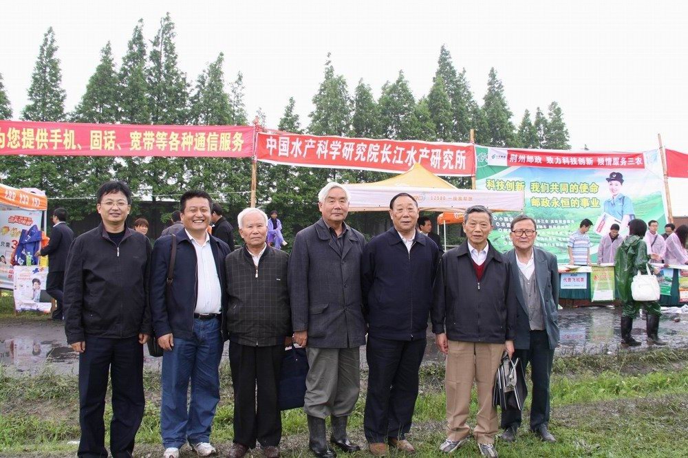 點(diǎn)擊放大