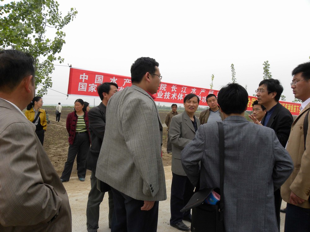 點(diǎn)擊放大