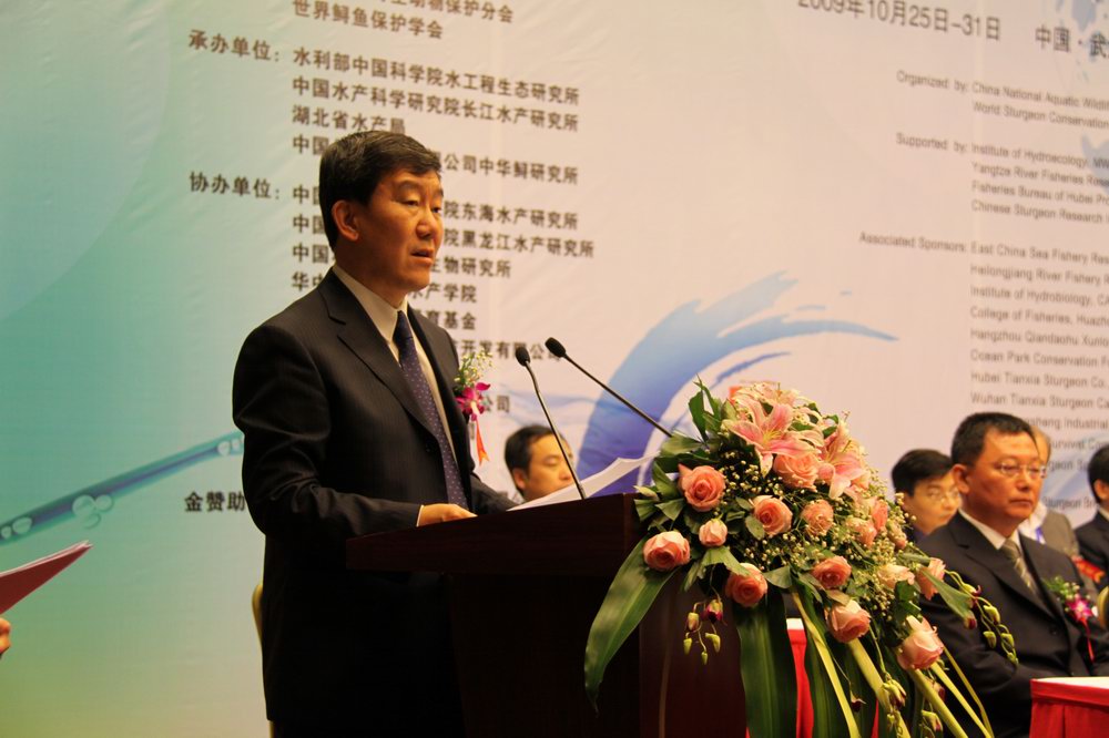 點擊放大