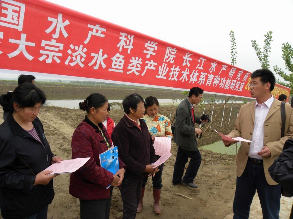 點(diǎn)擊放大