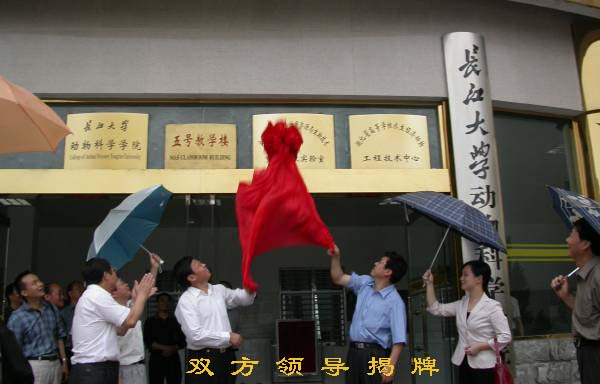 點(diǎn)擊放大