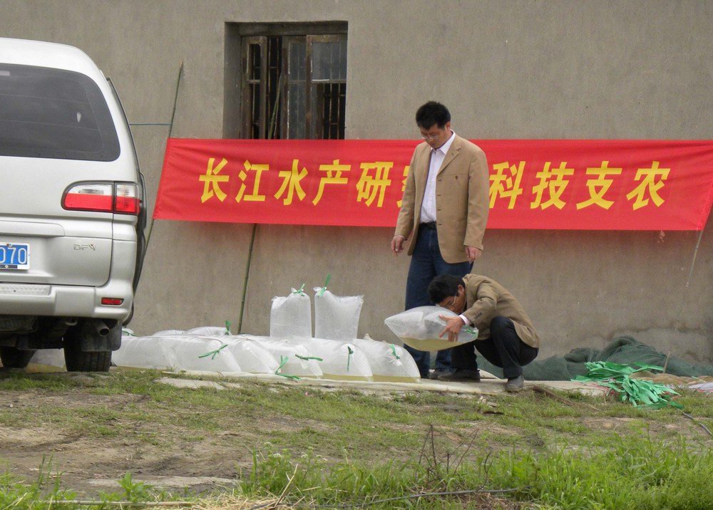 點(diǎn)擊放大