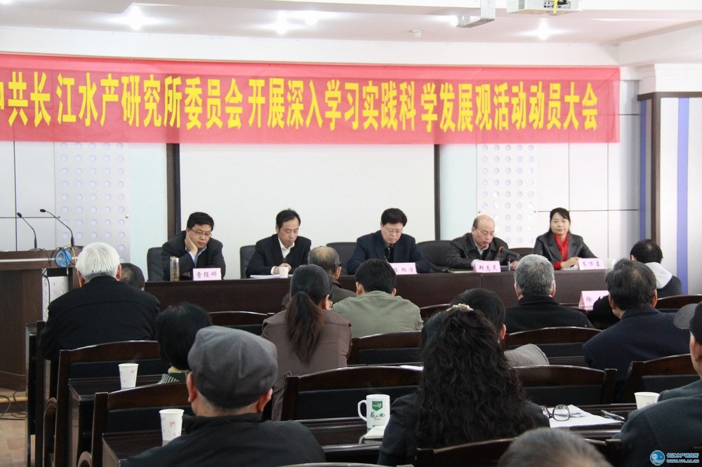 點擊放大