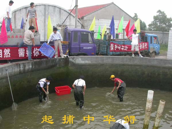 點擊放大