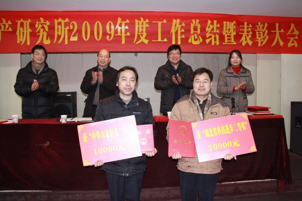點(diǎn)擊放大