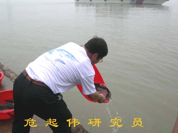 點擊放大