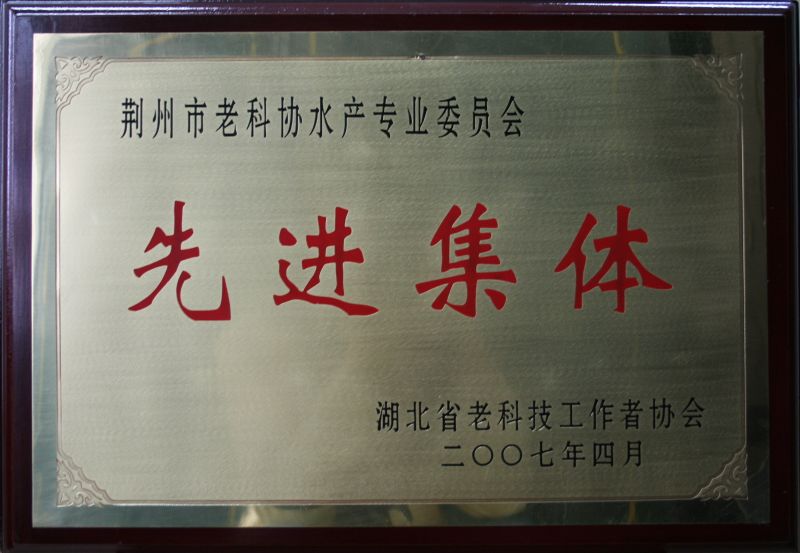 先進集體獎牌