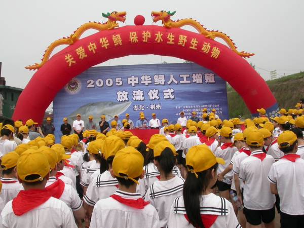 點擊放大