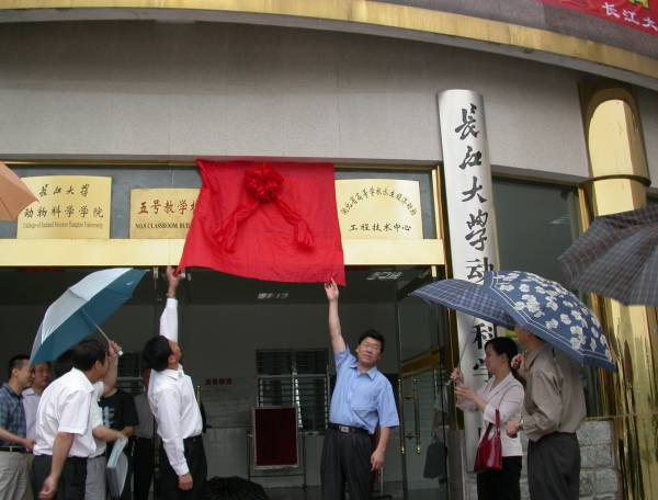 點(diǎn)擊放大