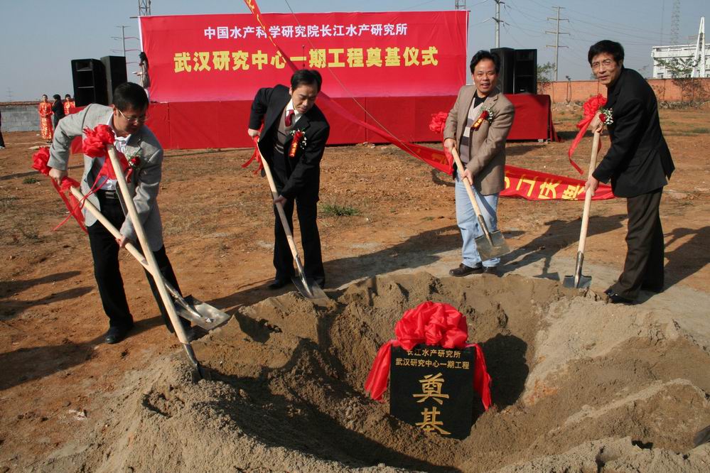 點擊放大