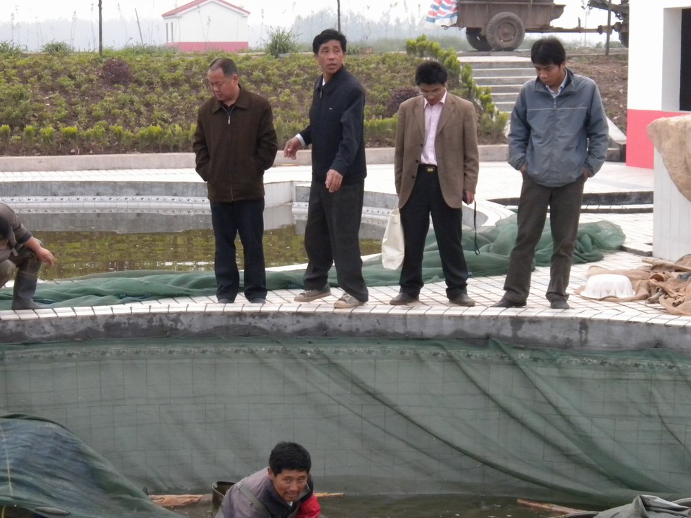 點擊放大