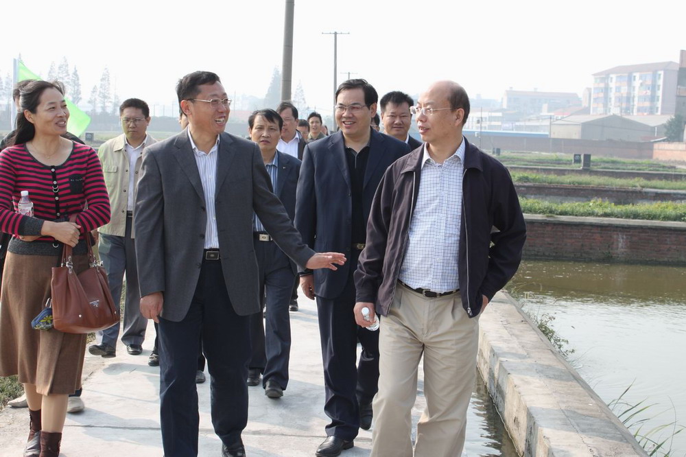 點擊放大