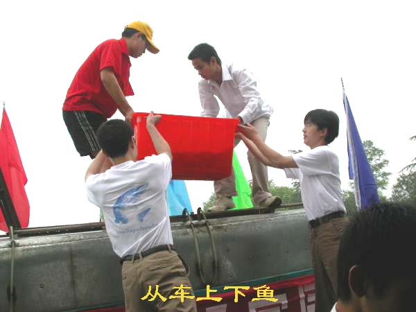 點擊放大