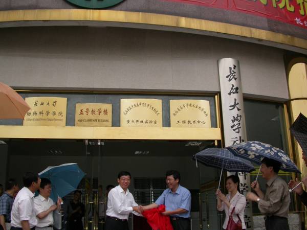 點(diǎn)擊放大