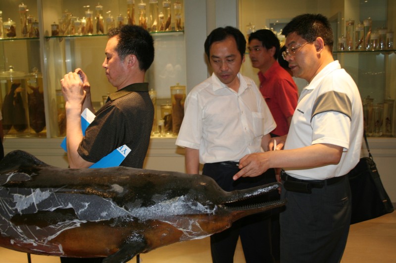 參觀標(biāo)本室