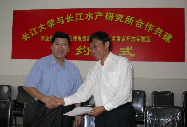 點(diǎn)擊放大