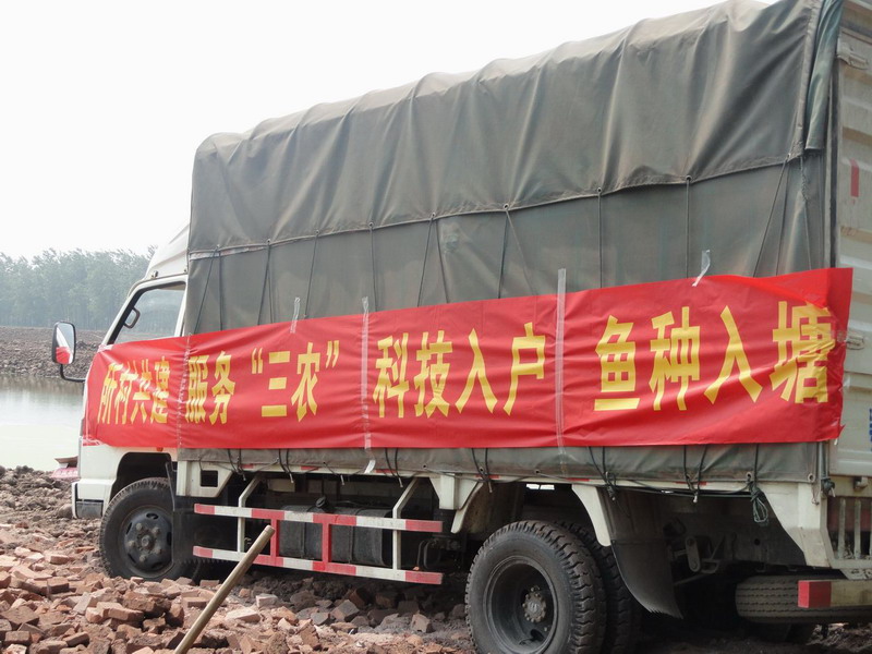 點(diǎn)擊放大