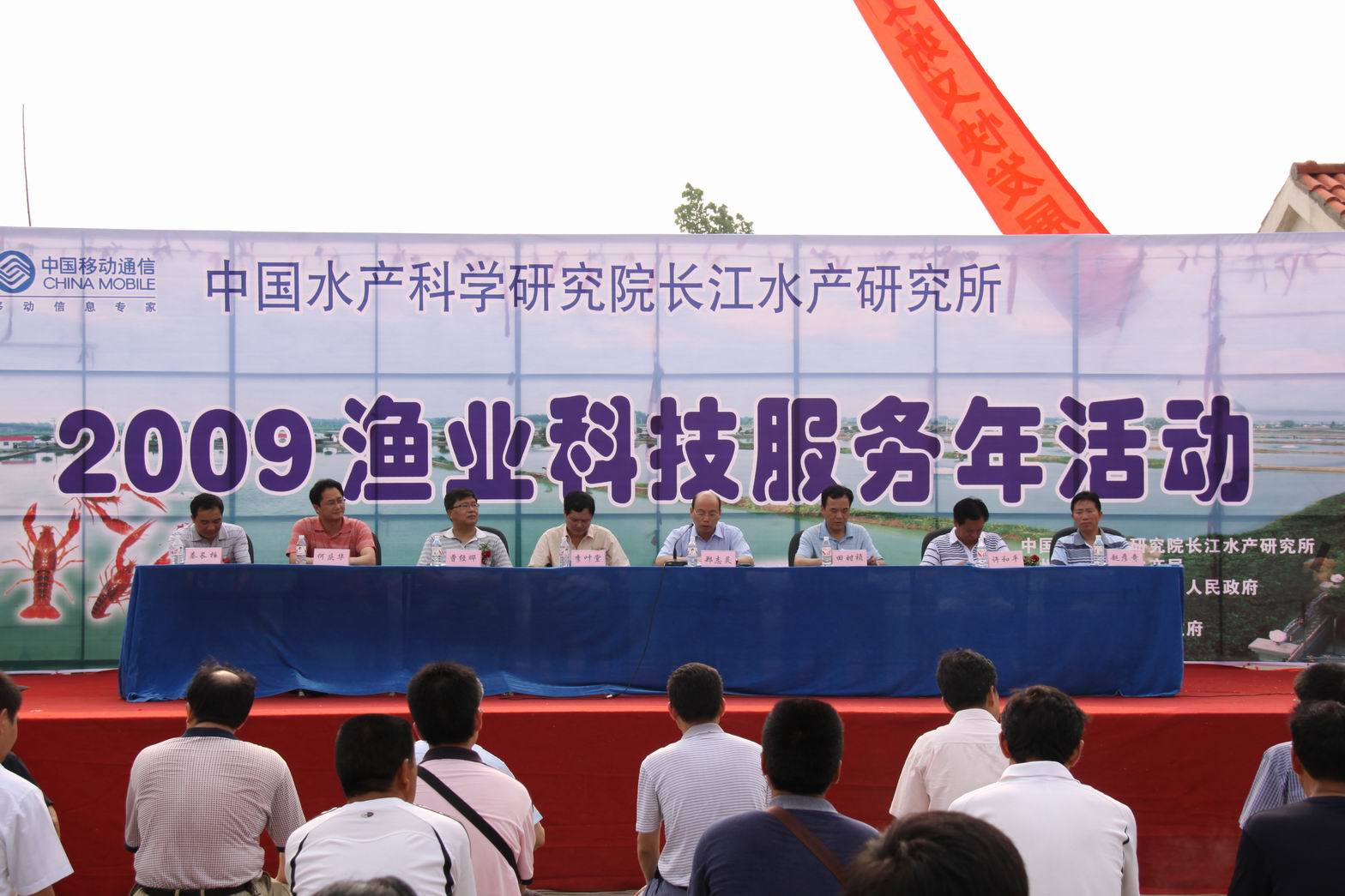 點(diǎn)擊放大