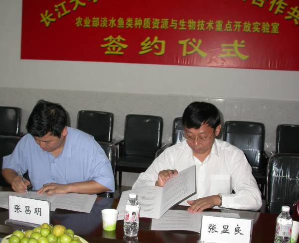 點(diǎn)擊放大