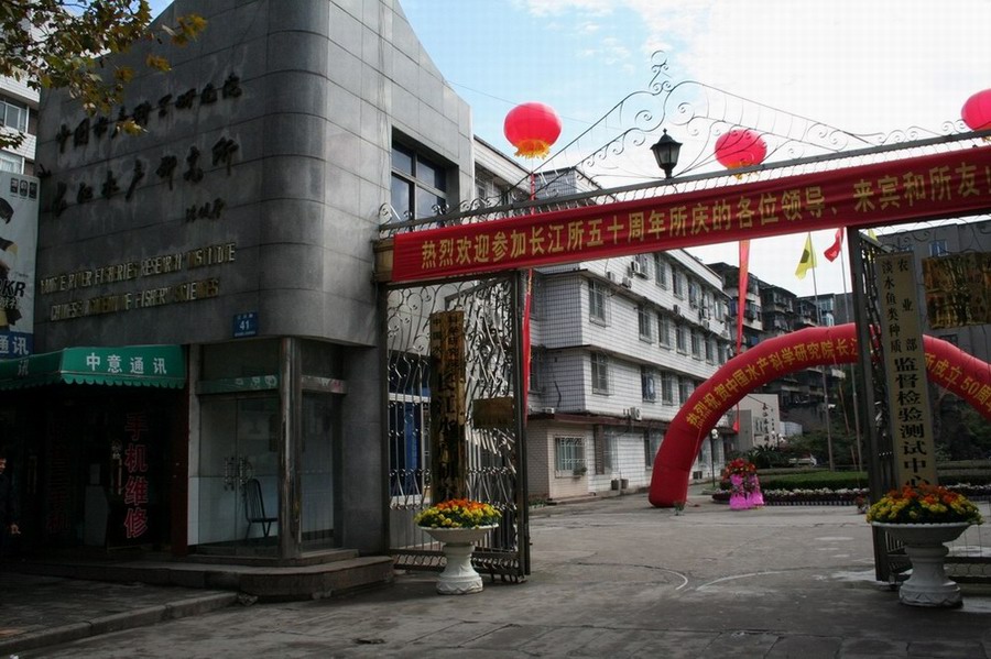 點擊放大